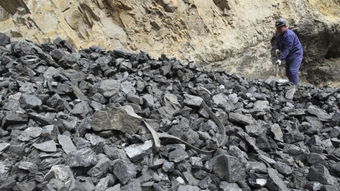 印度政府或很快剥离印度煤炭10 股份